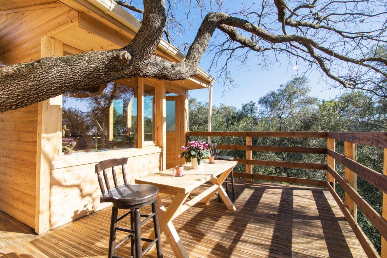 Romantic Tree House Kato Pavliana Luaran gambar